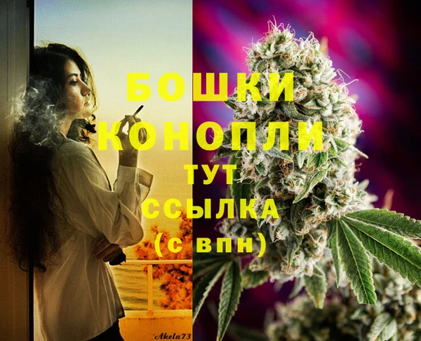 spice Волоколамск