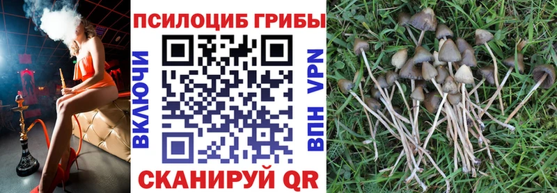 Галлюциногенные грибы Magic Shrooms  Орёл 